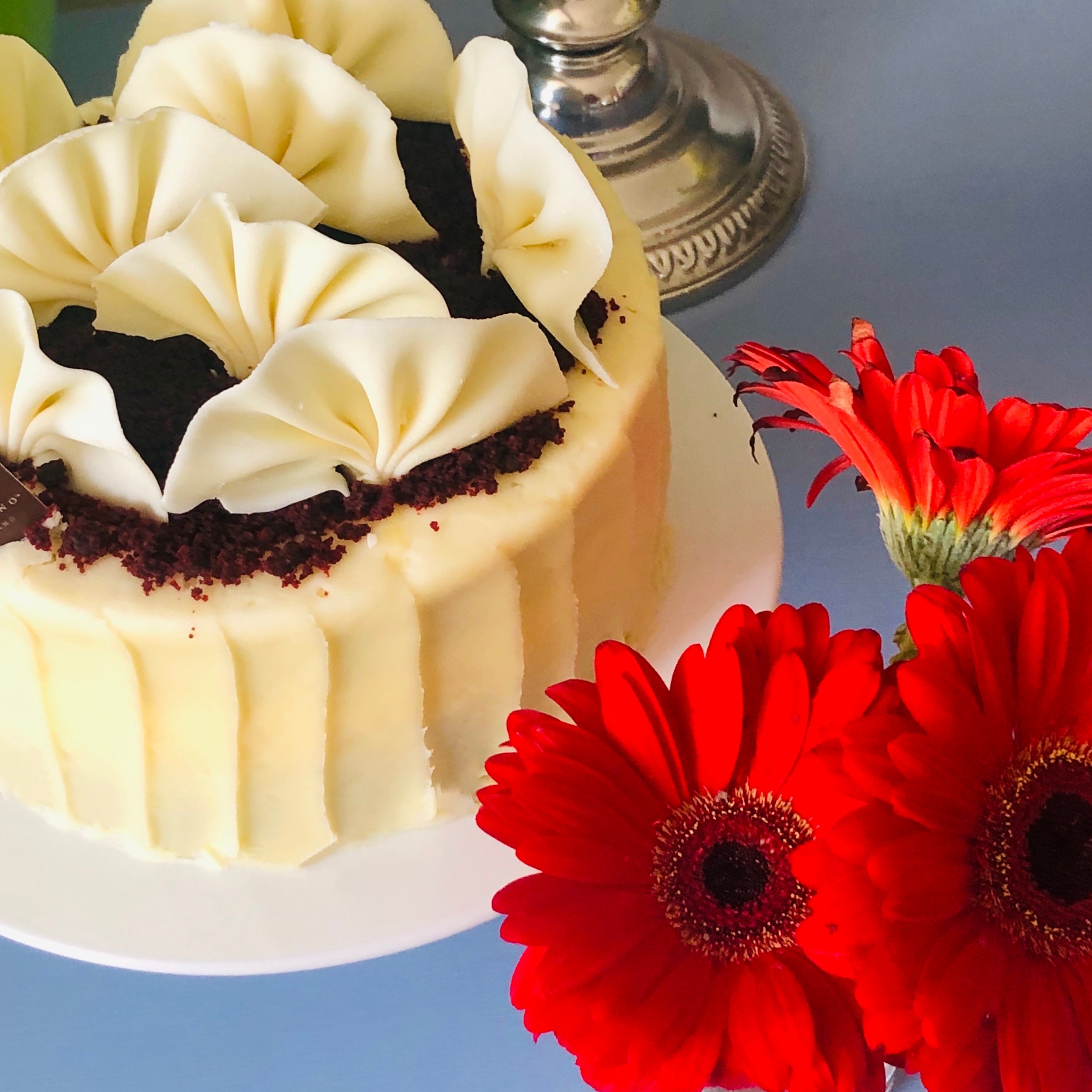 Decadent Delights: Unraveling the Difference Between Red Velvet Cake and Chocolate Cake - Dello Mano