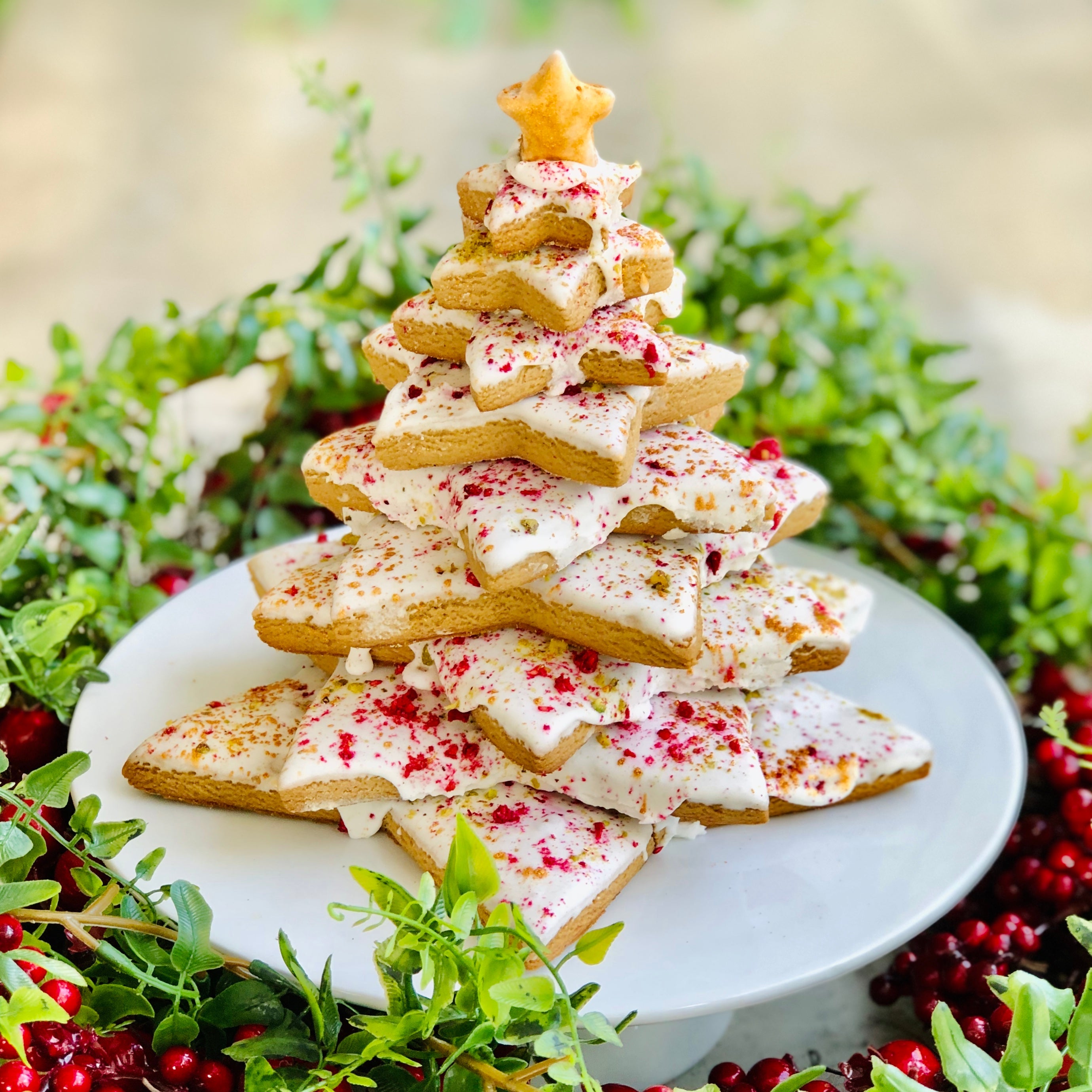 The Stars Are Aligned This Christmas - Dello Mano