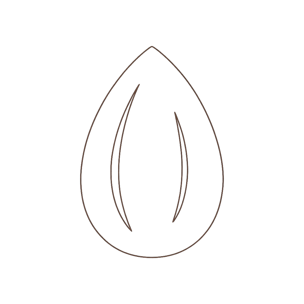 Icon of an almond with brown lines on a transparent background