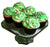 Dello Mano Launches a Festive Christmas Cupcake