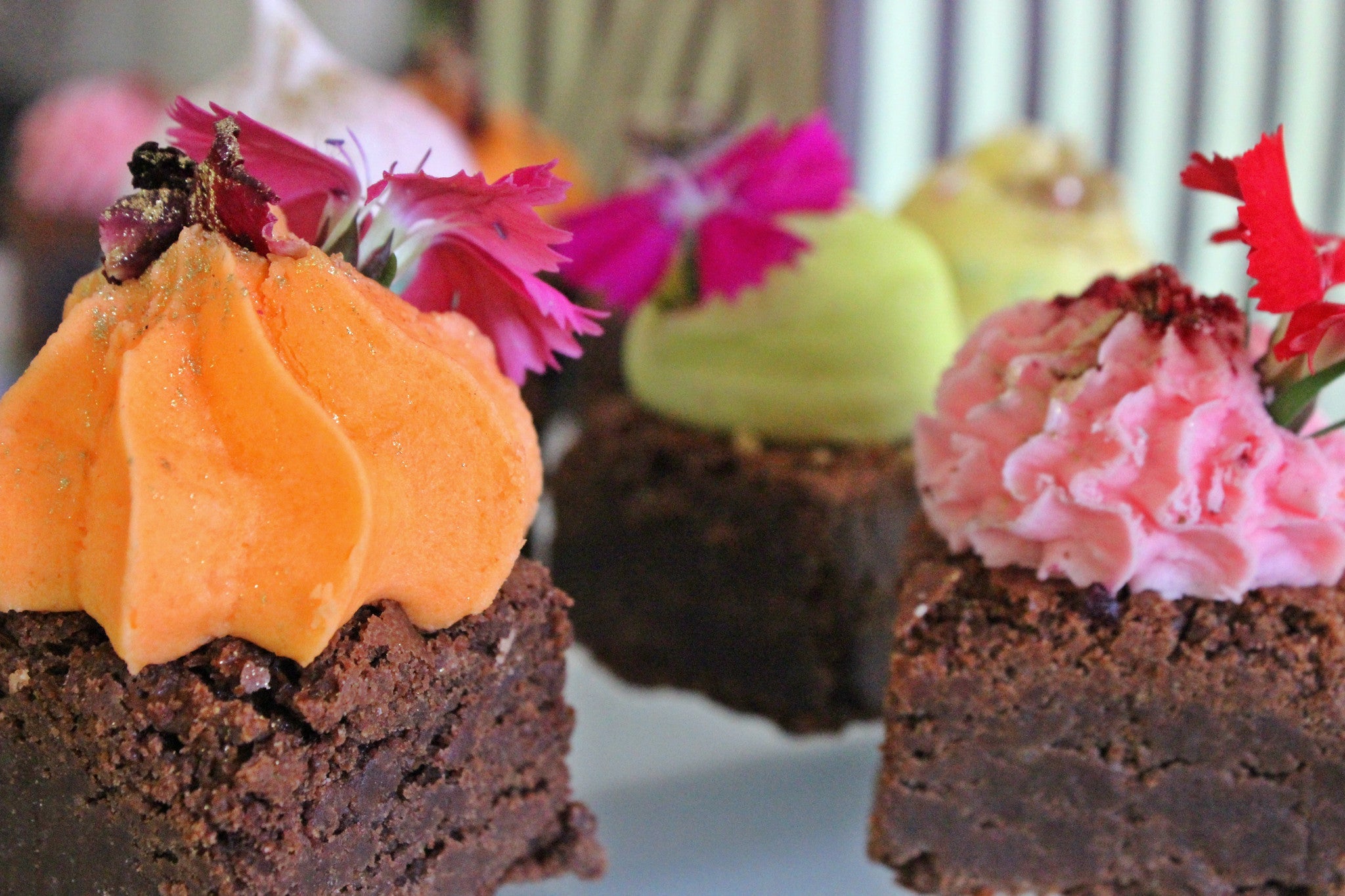 Brownie Spring into Next Season - Dello Mano