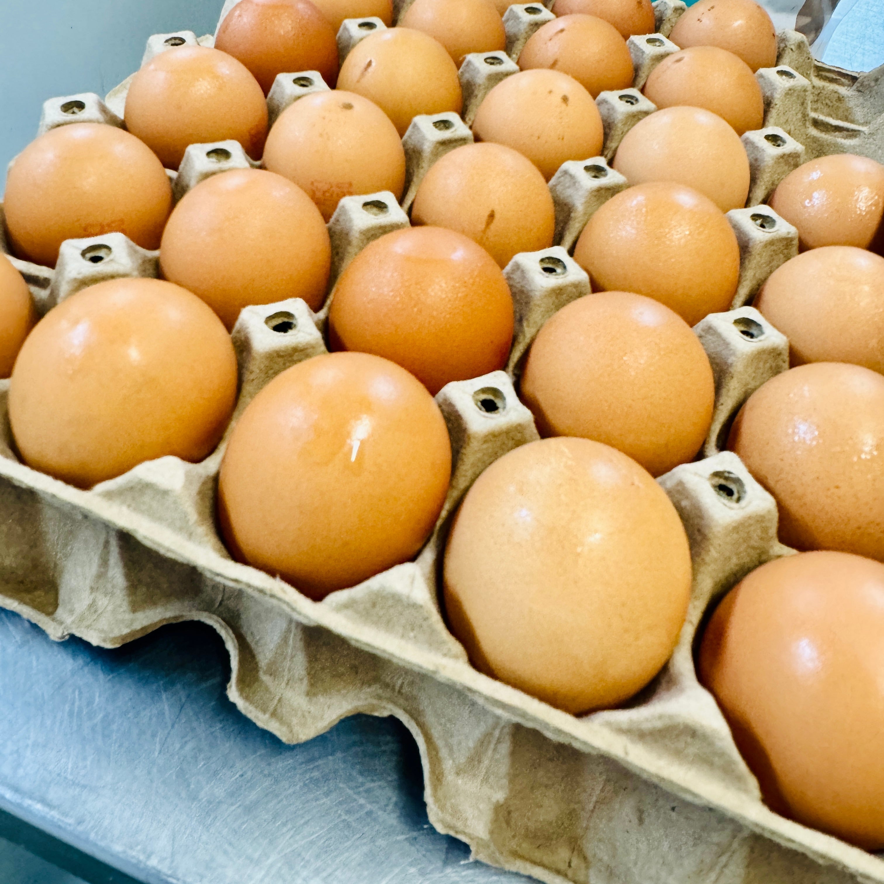 Tray of fresh whole eggs symbolising handmade beginnings at Dello Mano
