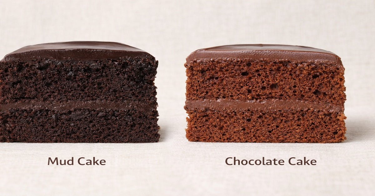 Mud Cake vs Chocolate Cake: What’s the Difference? - Dello Mano