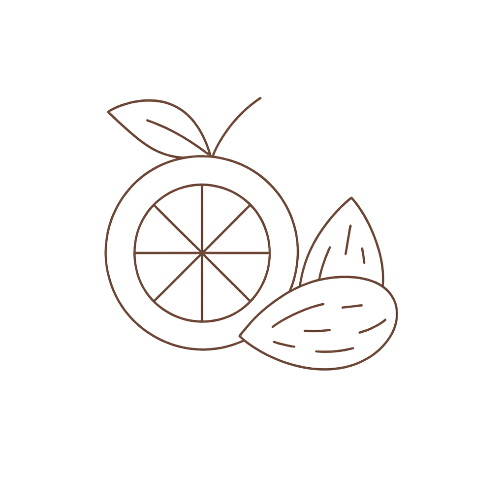 Line drawing of a sliced orange with leaves and almond on a tranparent  background