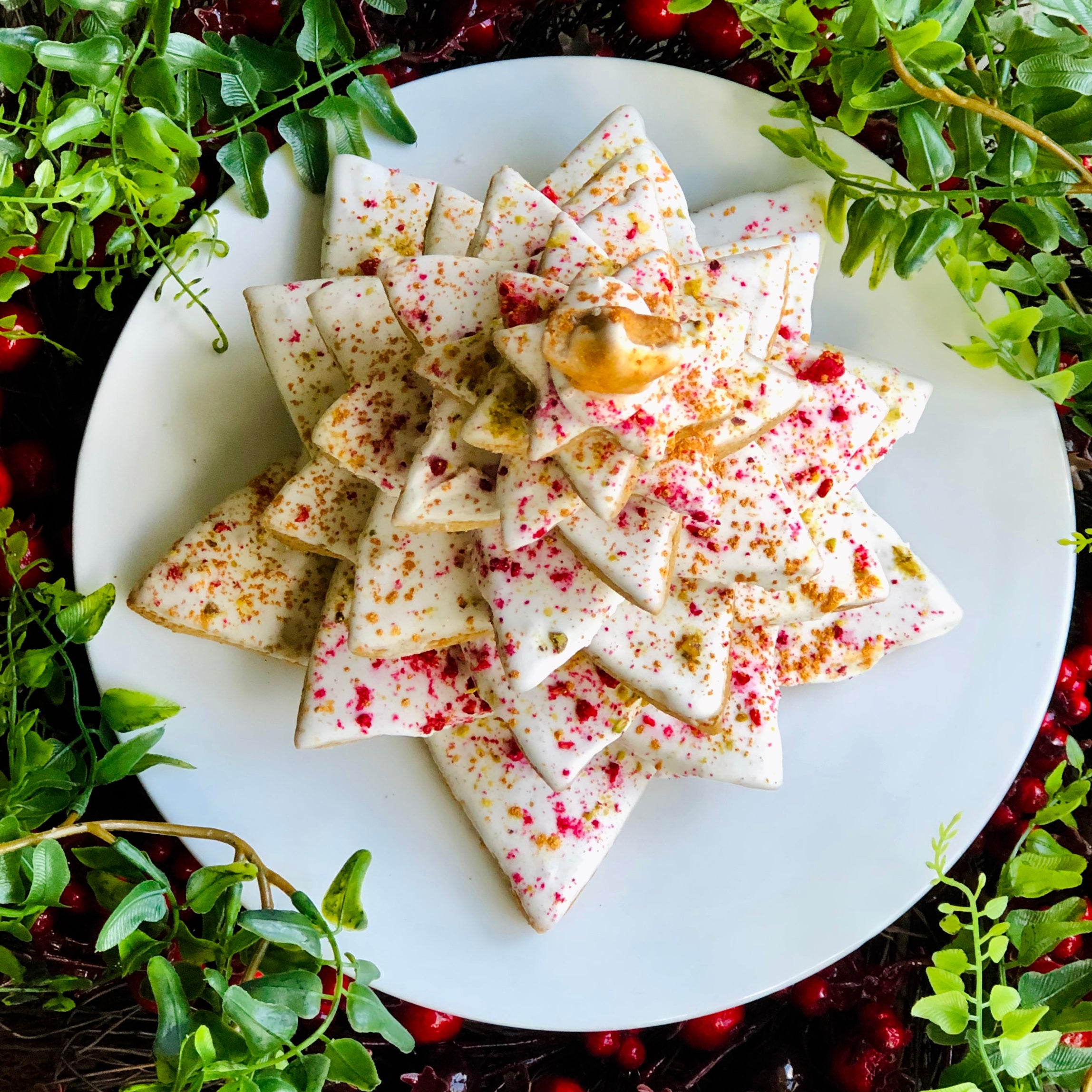 Top view of a Gingerbread Christmas tree with white icing, stars lined up and red raspberry sprinkles.