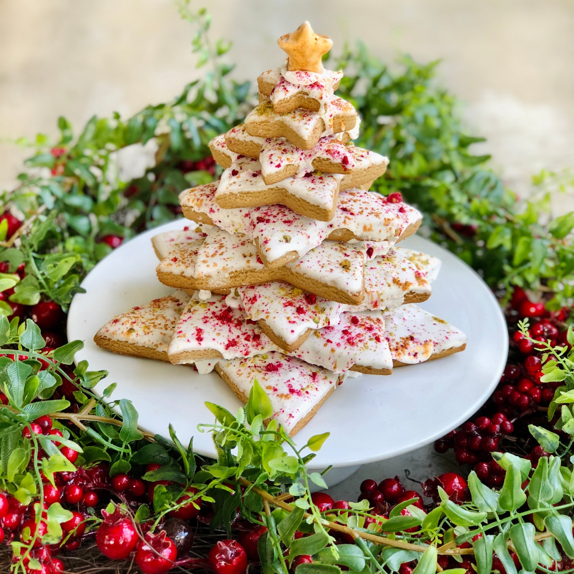 A gingerbread christmas tree with white icing and raspberry/gold sprinkles on a white plate surrounded by greenery